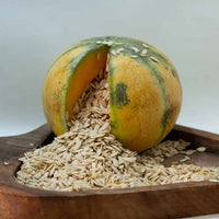 melon seeds