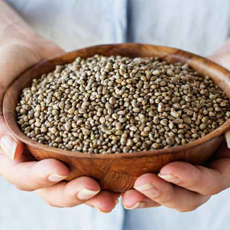 Buy Online Hemp Seeds, Hemp Nuts, Bhang Ka Beej at Best Price India, Order Online hemp seeds at online in India with Cash on Delivery Available