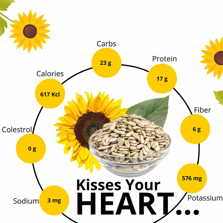 Buy Protein And Vitamins Rich Sunflower Seeds Online | Order 1 Kg Sunflower Seeds At The Best Price In India
