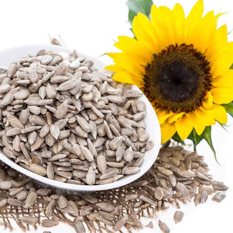 Buy Protein And Vitamins Rich Sunflower Seeds Online | Order 1 Kg Sunflower Seeds At The Best Price In India